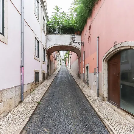 Luxury Olipi Lisbon